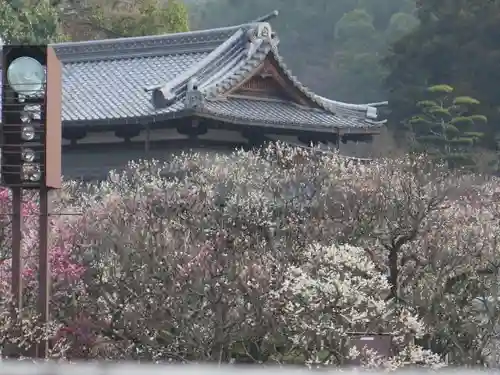 太宰府天満宮の建物その他