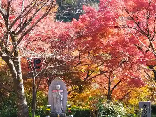 清水寺(京都府)