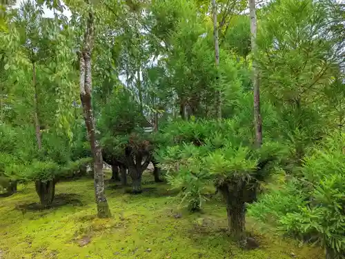 源光庵(京都府)