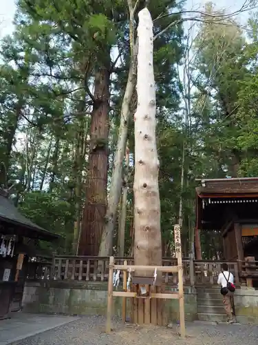 諏訪大社下社秋宮の自然