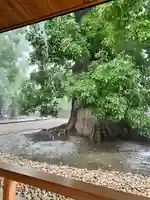 上野東照宮(東京都)