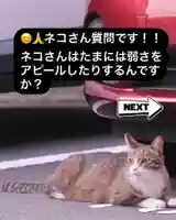 専念寺(大阪府)