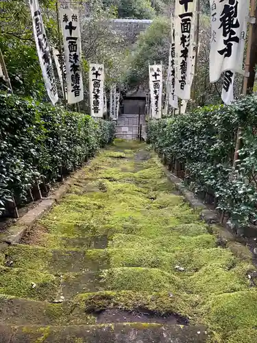 杉本寺の自然