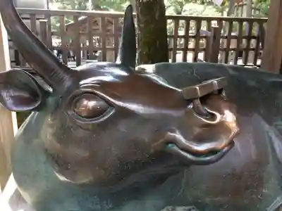 出雲大社(島根県)