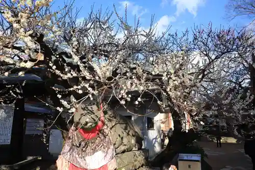 北野天満宮(京都府)