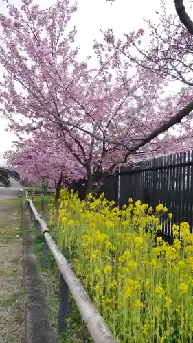 長円寺の庭園