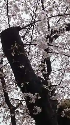 旗岡八幡神社(東京都)