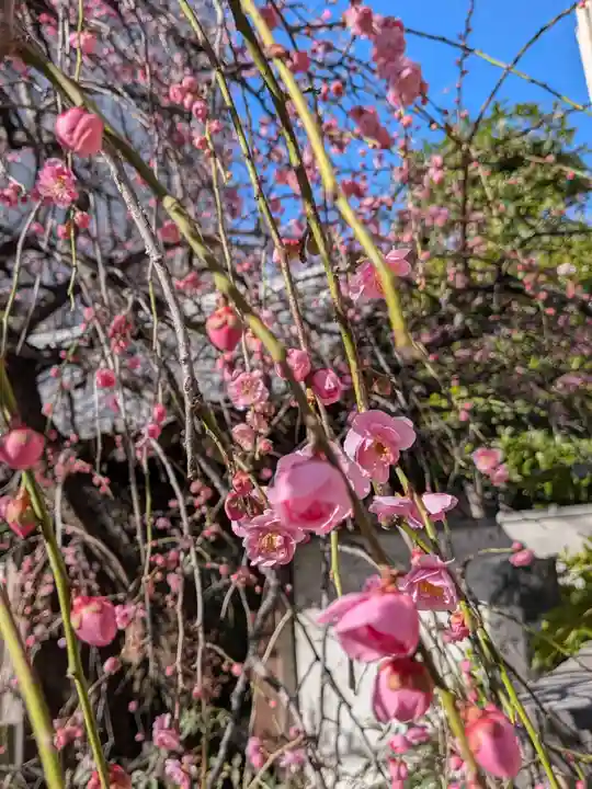 長円寺(東京都)