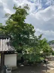 頼光寺(京都府)