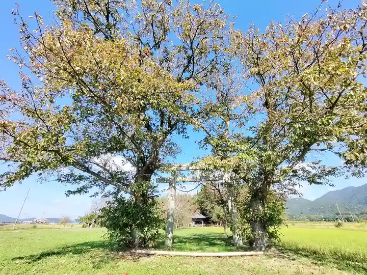 若宮神社(京都府)