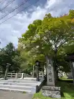 土津神社|こどもと出世の神さま(福島県)
