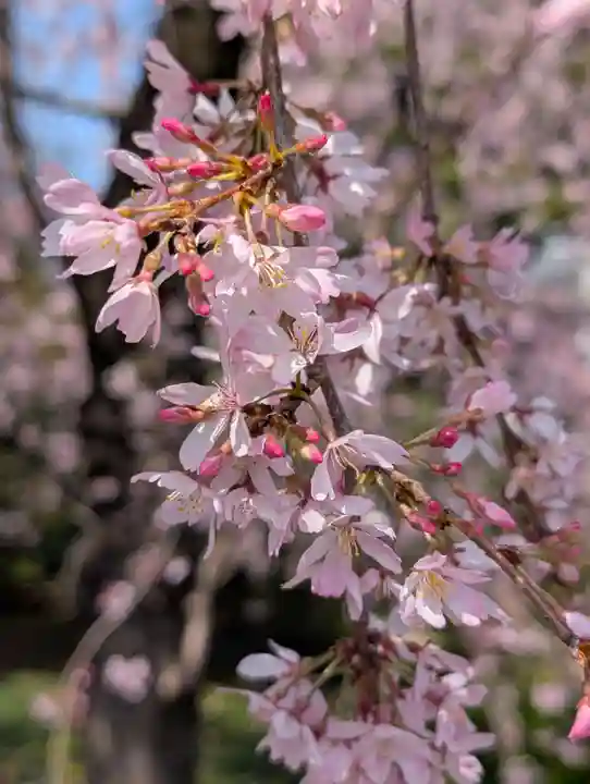 寳幢院(東京都)