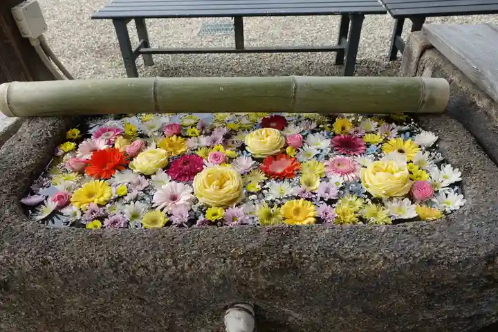 菅原天満宮(菅原神社)の手水舎