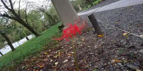 平野神社(京都府)