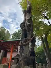 生國魂神社(大阪府)