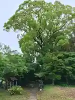 一瀬王子跡の{uncategorized: "未分類", other: "その他", undefined: "問題あり", building: "その他建物", grave: "お墓", sacred_gate: "鳥居", guardian: "狛犬", statue: "像", buddha: "仏像", history: "歴史", nature: "自然", garden: "庭園", animal: "動物", pagoda: "塔", temizu: "手水舎", mountain_gate: "山門・神門", sanctuary: "本殿・本堂", subordinate: "末社・摂社", art: "芸術", scenery: "景色", jizo: "地蔵", ema: "絵馬", goshuin: "御朱印", omikuji: "おみくじ", items: "授与品その他", amulet: "お守り", goshuincho: "御朱印帳", eats: "食事", festival: "お祭り", votive_dance: "神楽", shichigosan: "七五三参", wedding: "結婚式", experience: "体験その他", initially: "初詣", around: "周辺", anti_infection: "感染症対策"}