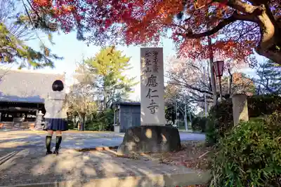 應仁寺の山門・神門