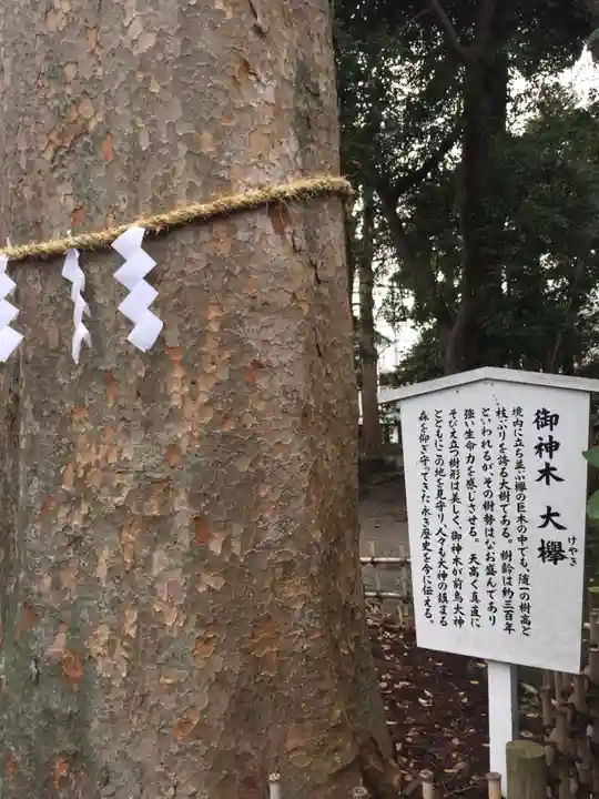 前鳥神社のその他建物