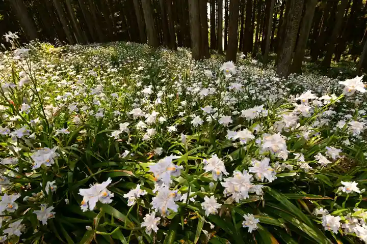 高蔵寺(福島県)