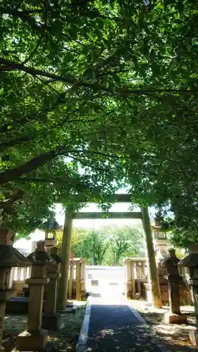 秋葉神社の鳥居