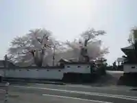 宗青寺(岩手県)