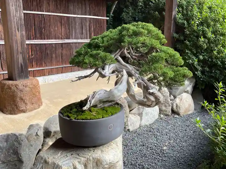 光明院(光明禅院)(京都府)