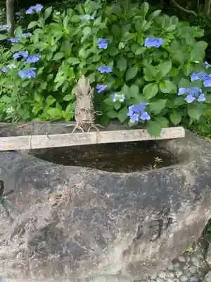 白毫寺(奈良県)