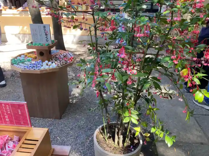 赤坂氷川神社(東京都)