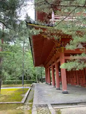 大徳寺の本殿・本堂