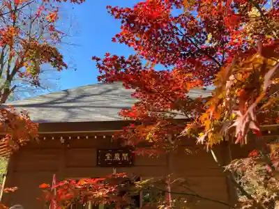 淨眞寺(東京都)