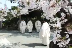 伊勢山皇大神宮のお祭り