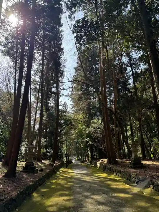 根来寺の{uncategorized: "未分類", other: "その他", undefined: "問題あり", building: "その他建物", grave: "お墓", sacred_gate: "鳥居", guardian: "狛犬", statue: "像", buddha: "仏像", history: "歴史", nature: "自然", garden: "庭園", animal: "動物", pagoda: "塔", temizu: "手水舎", mountain_gate: "山門・神門", sanctuary: "本殿・本堂", subordinate: "末社・摂社", art: "芸術", scenery: "景色", jizo: "地蔵", ema: "絵馬", goshuin: "御朱印", omikuji: "おみくじ", items: "授与品その他", amulet: "お守り", goshuincho: "御朱印帳", eats: "食事", festival: "お祭り", votive_dance: "神楽", shichigosan: "七五三参", wedding: "結婚式", experience: "体験その他", initially: "初詣", around: "周辺", anti_infection: "感染症対策"}