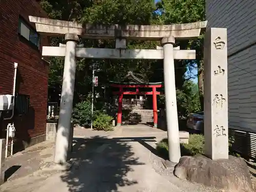 白山神社（大須白山神社）の鳥居