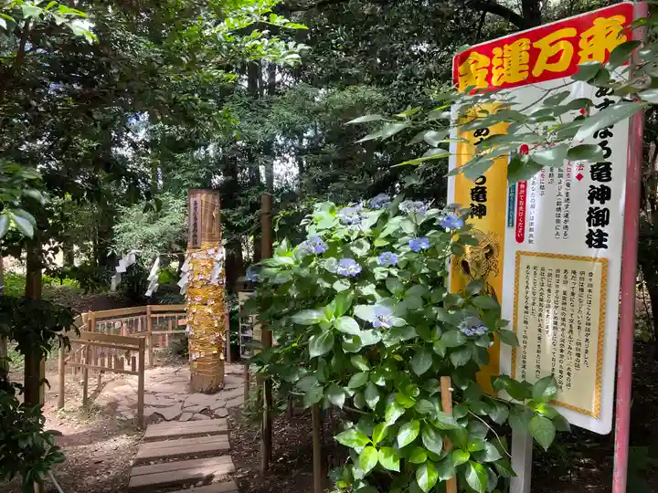 下野 星宮神社(栃木県)