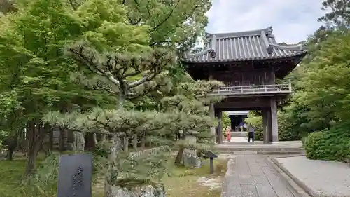 伊勢の国 四天王寺の山門・神門