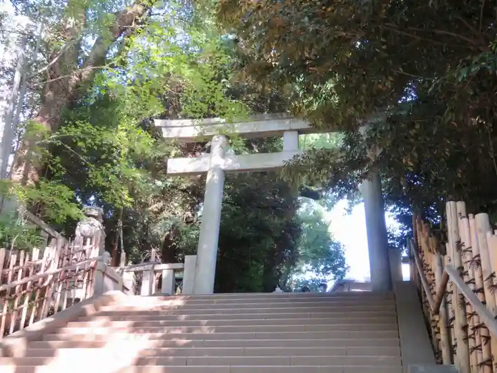 渋谷氷川神社の鳥居