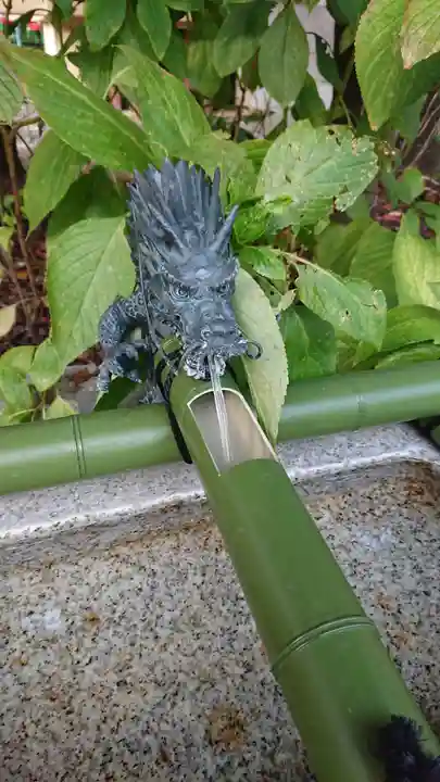 日枝神社の手水舎