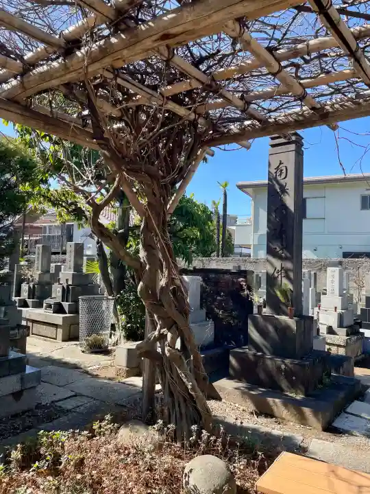 善仁寺の{uncategorized: "未分類", other: "その他", undefined: "問題あり", building: "その他建物", grave: "お墓", sacred_gate: "鳥居", guardian: "狛犬", statue: "像", buddha: "仏像", history: "歴史", nature: "自然", garden: "庭園", animal: "動物", pagoda: "塔", temizu: "手水舎", mountain_gate: "山門・神門", sanctuary: "本殿・本堂", subordinate: "末社・摂社", art: "芸術", scenery: "景色", jizo: "地蔵", ema: "絵馬", goshuin: "御朱印", omikuji: "おみくじ", items: "授与品その他", amulet: "お守り", goshuincho: "御朱印帳", eats: "食事", festival: "お祭り", votive_dance: "神楽", shichigosan: "七五三参", wedding: "結婚式", experience: "体験その他", initially: "初詣", around: "周辺", anti_infection: "感染症対策"}