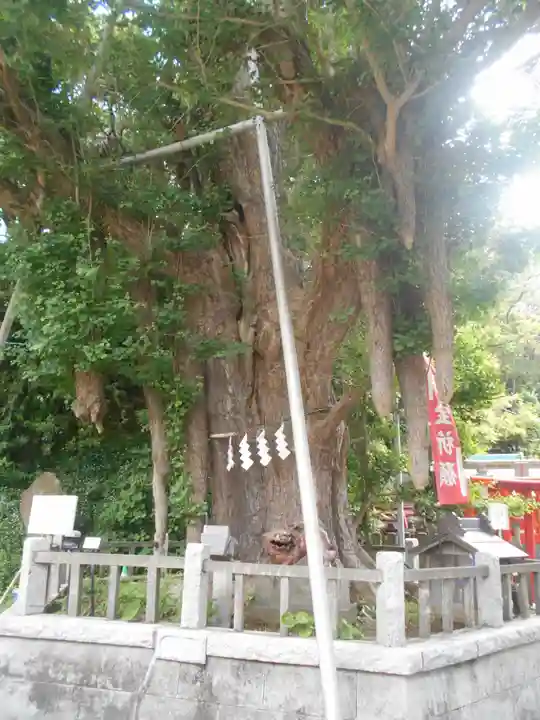 海南神社の自然