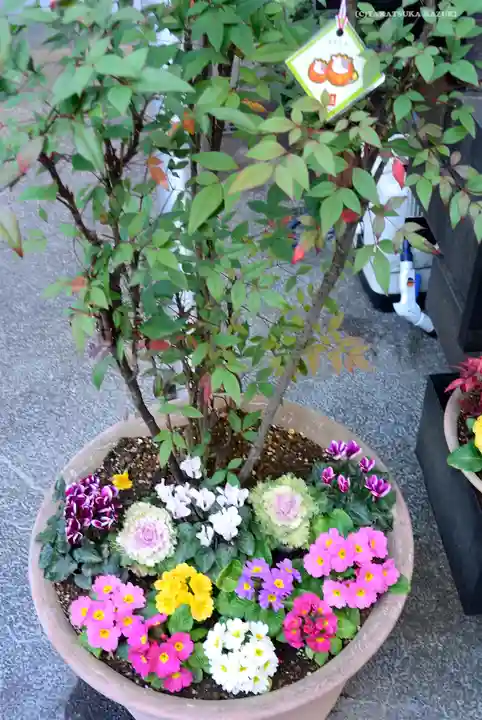 烏森神社の庭園