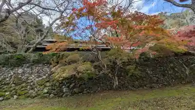 勝持寺（花の寺）(京都府)
