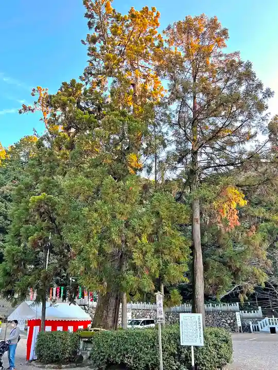 大縣神社の自然