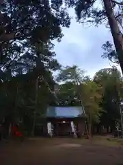 側鷹神社の本殿