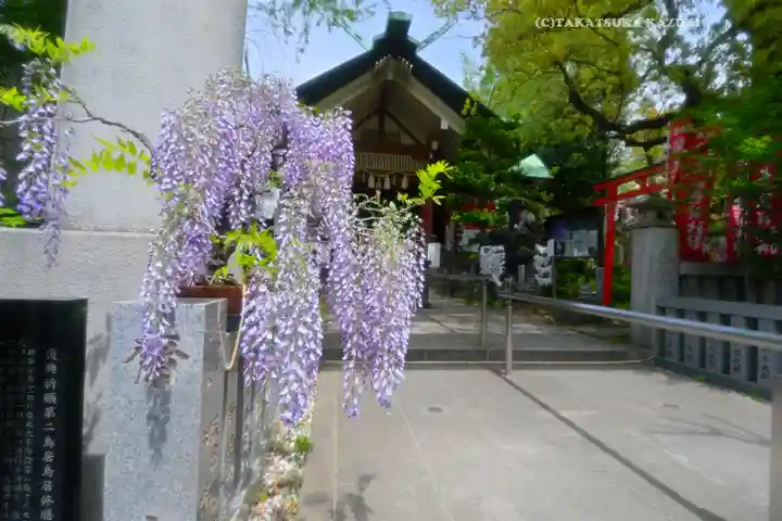 江東天祖神社(東京都)