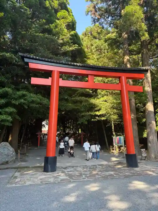 霧島神宮の{uncategorized: "未分類", other: "その他", undefined: "問題あり", building: "その他建物", grave: "お墓", sacred_gate: "鳥居", guardian: "狛犬", statue: "像", buddha: "仏像", history: "歴史", nature: "自然", garden: "庭園", animal: "動物", pagoda: "塔", temizu: "手水舎", mountain_gate: "山門・神門", sanctuary: "本殿・本堂", subordinate: "末社・摂社", art: "芸術", scenery: "景色", jizo: "地蔵", ema: "絵馬", goshuin: "御朱印", omikuji: "おみくじ", items: "授与品その他", amulet: "お守り", goshuincho: "御朱印帳", eats: "食事", festival: "お祭り", votive_dance: "神楽", shichigosan: "七五三参", wedding: "結婚式", experience: "体験その他", initially: "初詣", around: "周辺", anti_infection: "感染症対策"}