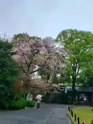 阿佐ヶ谷神明宮(東京都)