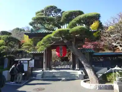 長谷寺の山門・神門