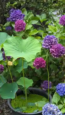 行願寺（革堂）(京都府)