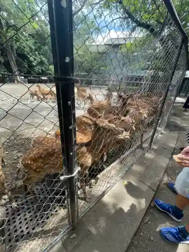 三嶋大社(静岡県)