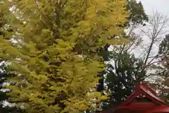 山神社の景色